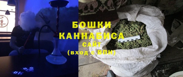 скорость Вяземский